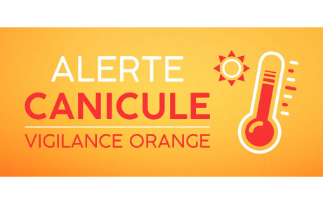 CANICULE: Entrainements du 20 juin 2025 annulés